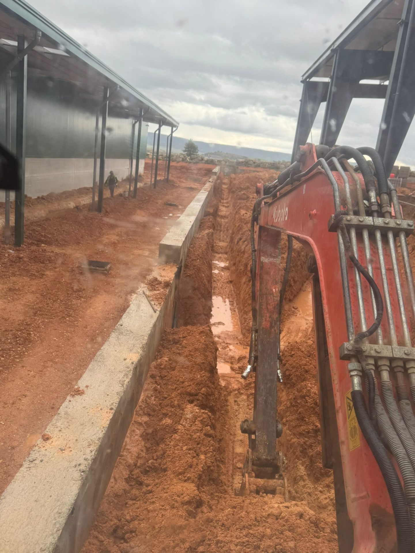 Desbroce y preparación de terreno